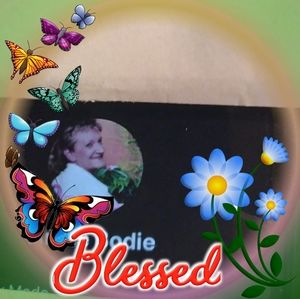 Meet your Posher, Annie